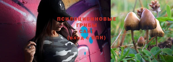 ГАЛЛЮЦИНОГЕННЫЕ ГРИБЫ Навашино