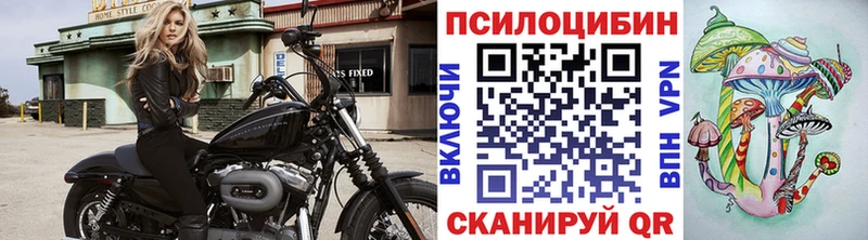 Галлюциногенные грибы Psilocybe  Купить где  Аркадак 